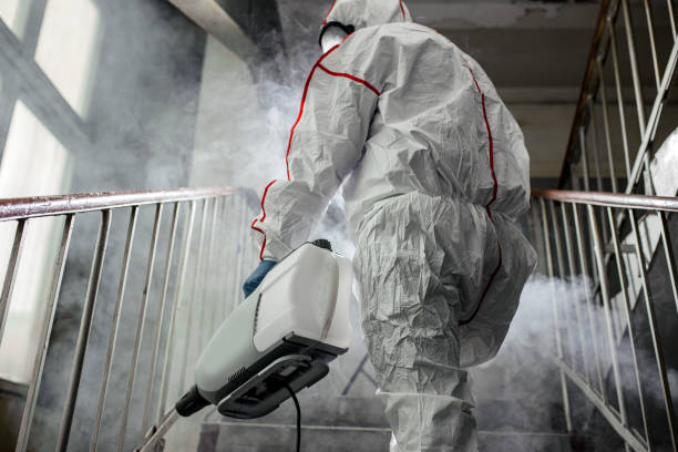 Why You Should Choose Our Mold Remediation Services in Live Oak, FL